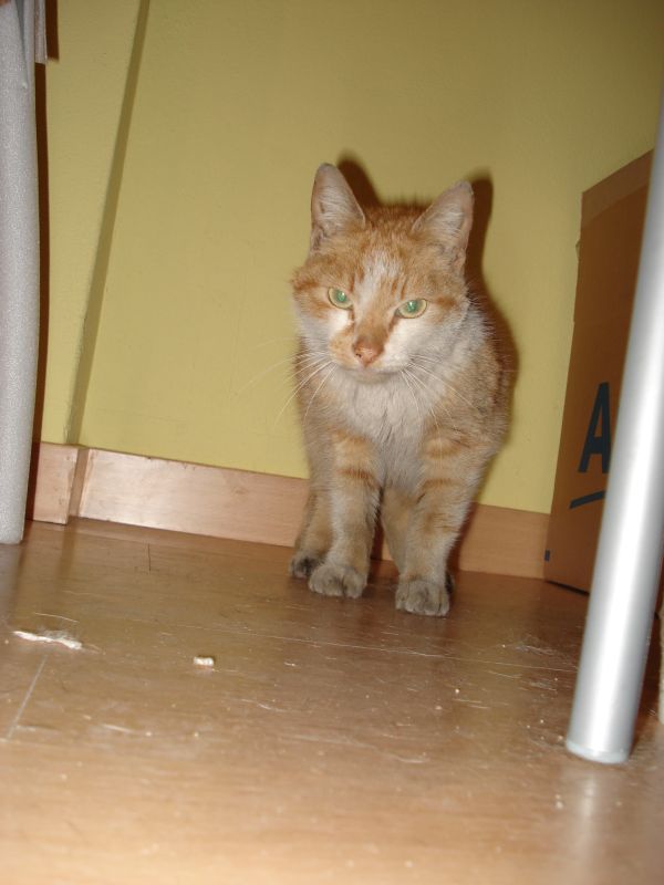[DSC04095.JPG]