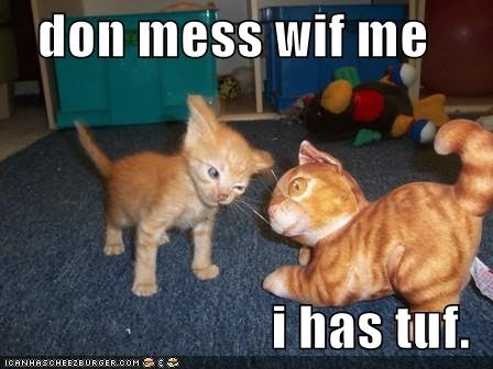 I Do Has Tough!