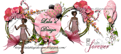Lala\u0026#39;s design: Baloane roz