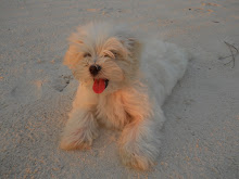 Cowboy, the beach bum