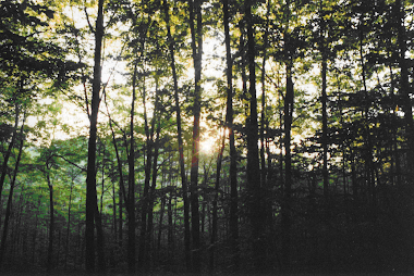 Summer Solstice Sunrise over the Beak of the Winged Bird Goddess