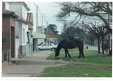 El Tungo en carne y hueso.