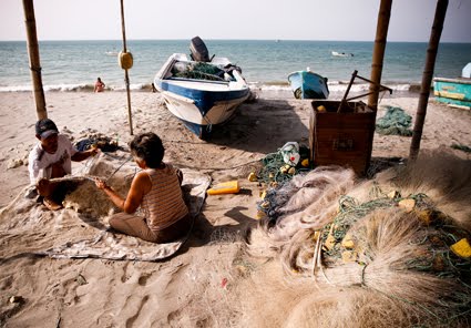 [Pesca1W.jpg]