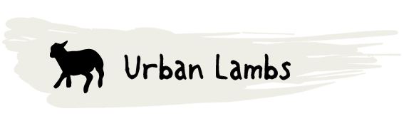 Urban Lambs