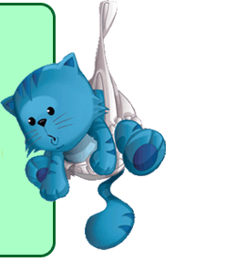 [gato.gif]