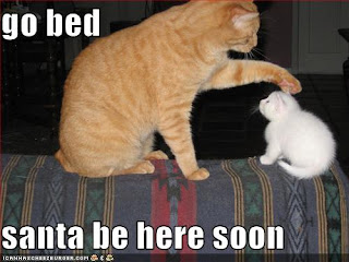 [Image: funny-pictures-kitten-bed-santa.jpg]