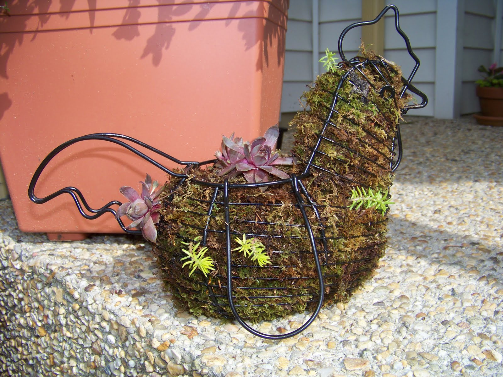 Goldilocks Creations: Wire Art Planters for the Garden