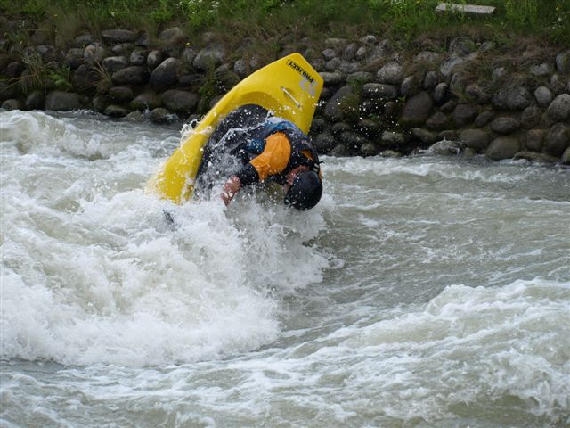 [P8093383.JPG]