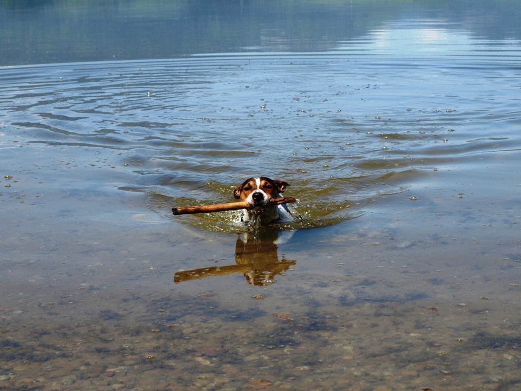 [P5097214.jpg]