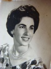 neifestanca