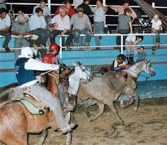 CABALLOS FAMOSOS DE COLEO