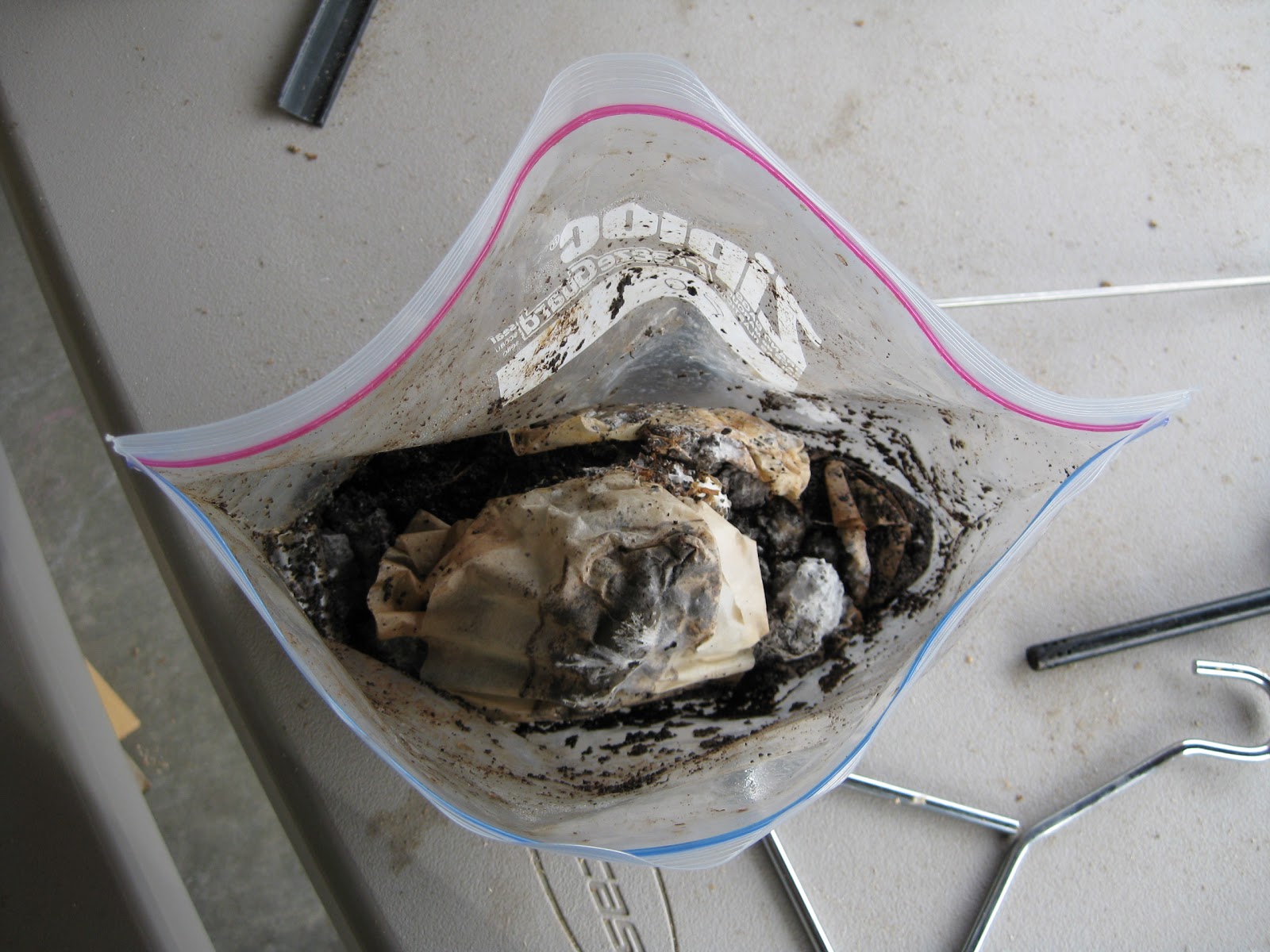 Mad Bioneer Coffee Ground Mushroom Spawn