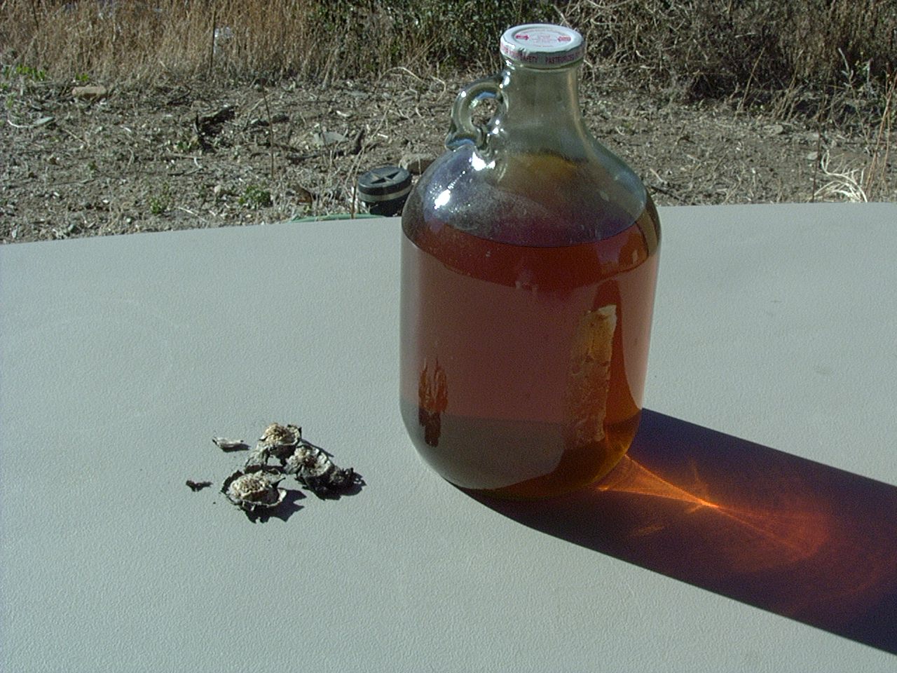 Mad Bioneer Spore Mass Slurry