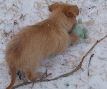 Oliver As a Baby