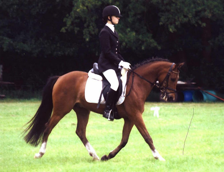 Kishan L2 dressuur M springen