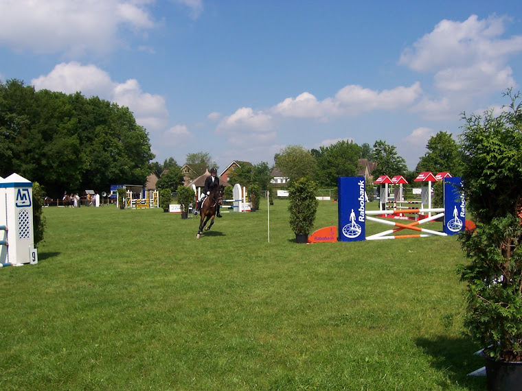 Niels & Ozzie