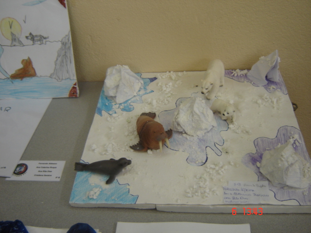 [DSC03392.JPG]