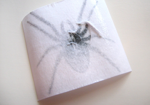 [spider-peeling.jpg]