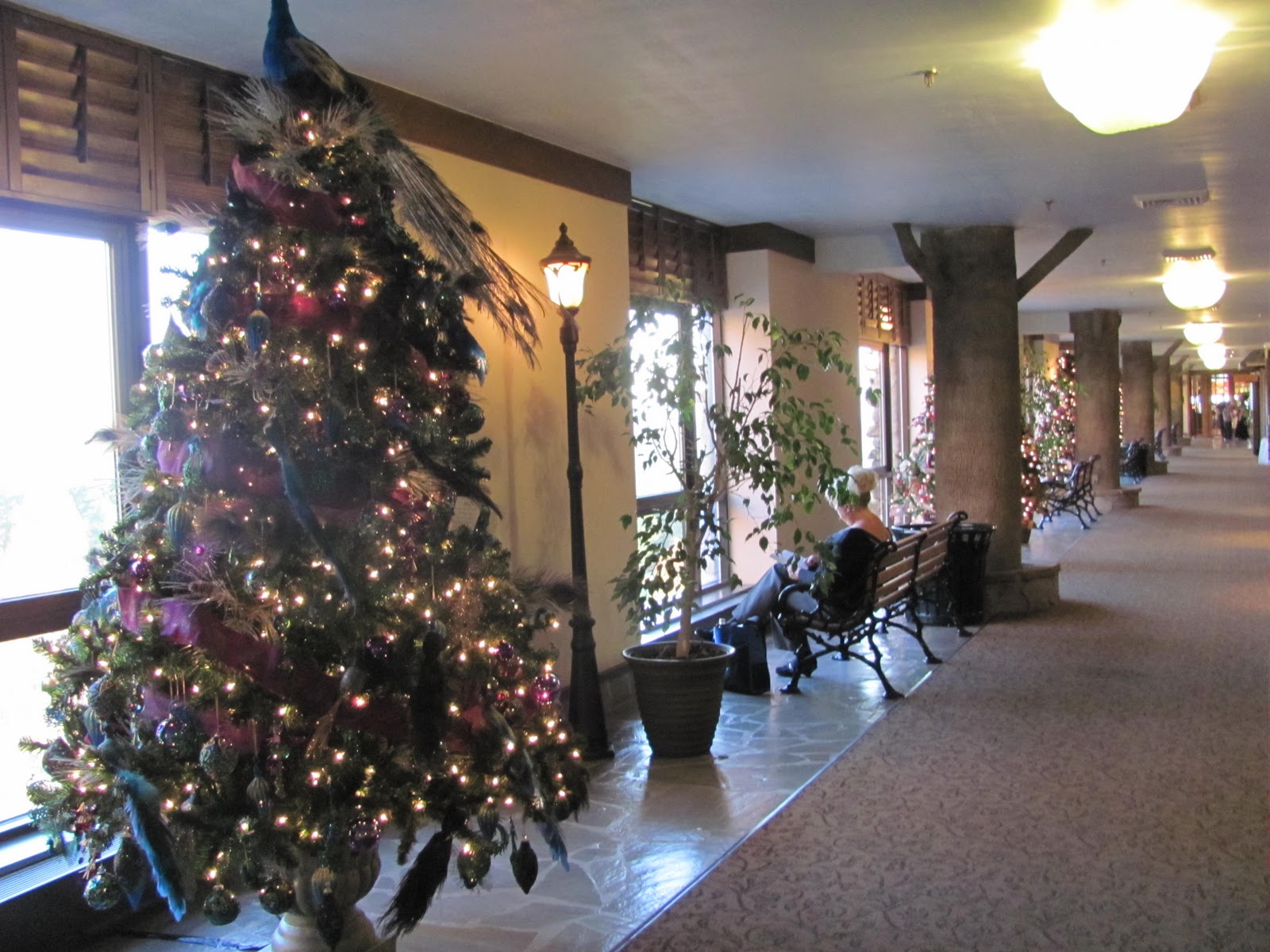 Life in the Carolina Mountains Christmas at the Grove Park Inn, Asheville