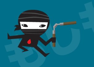 [ninja2.jpg]