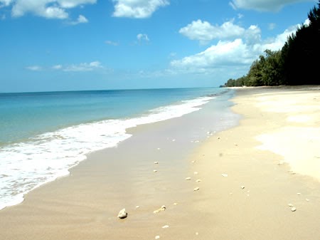 FOOTPRINTS IN THE SAND