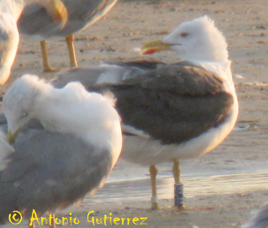 [IMG_4302+copia.jpg]