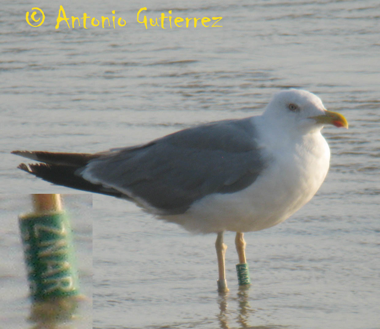 [IMG_4388+copia.jpg]