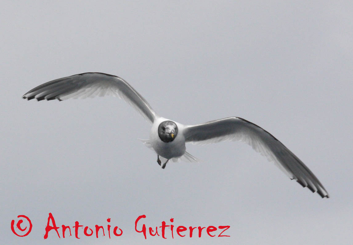 [IMG_4840+copia.jpg]