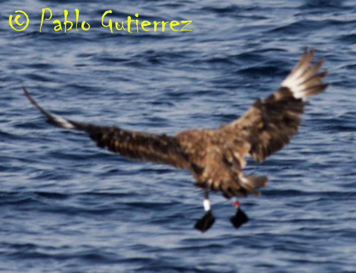 [CathaAni+copia.jpg]