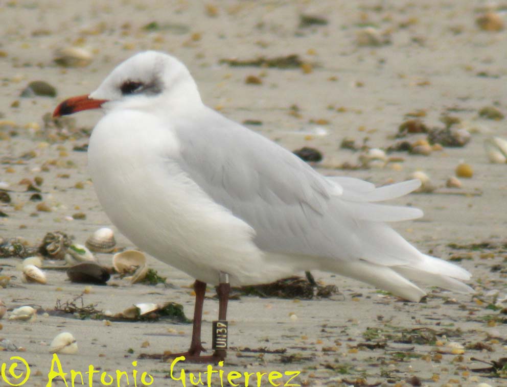 [IMG_8965+copia.jpg]