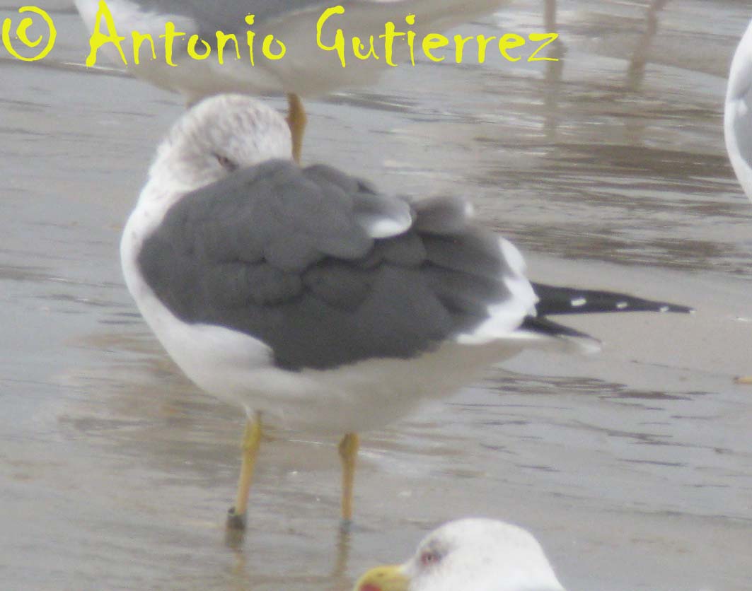 [IMG_9182+copia.jpg]