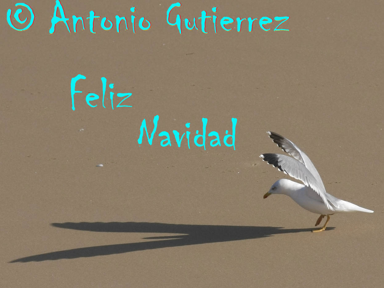 [IMG_8321+copiabb.jpg]