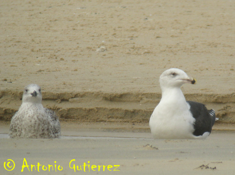 [IMG_1680+copia.jpg]