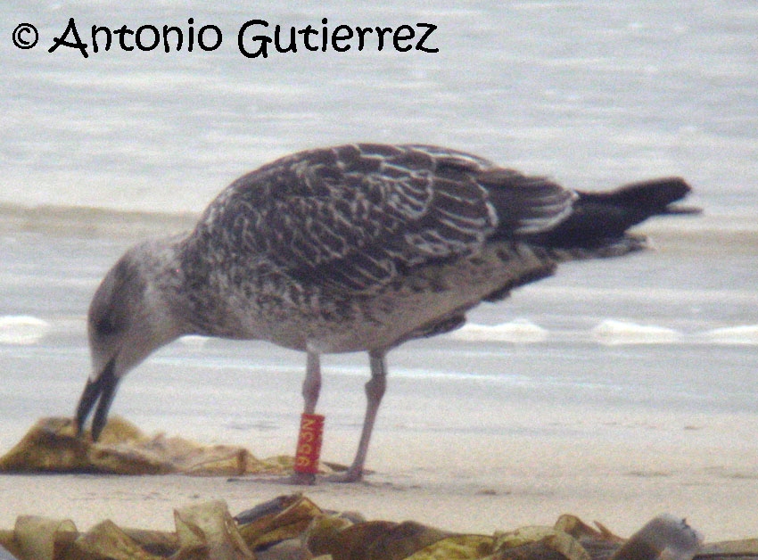 [IMG_3401+copia.jpg]