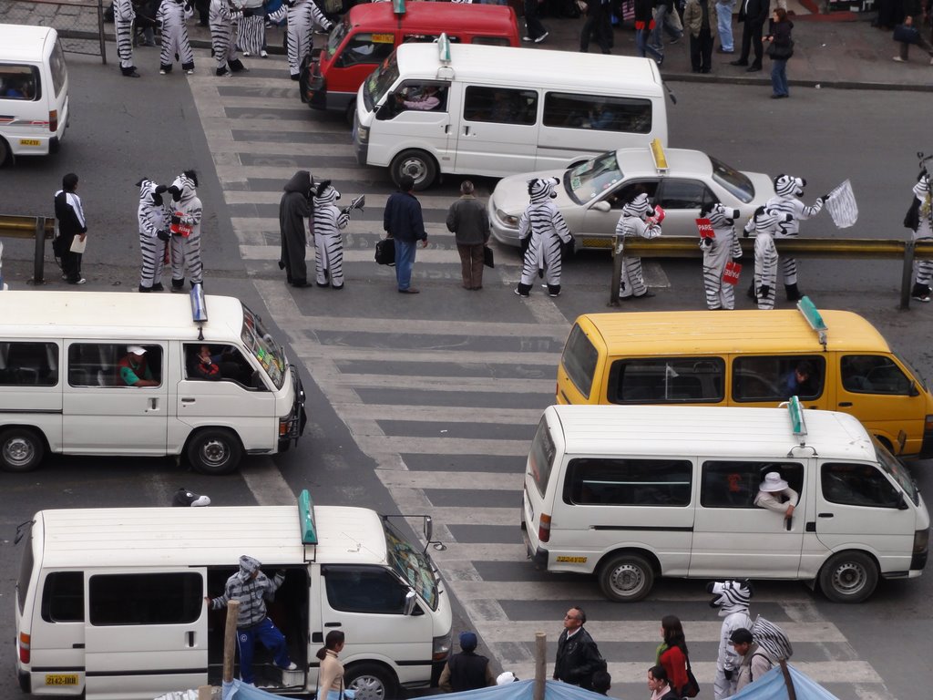 From Guaguas to Colectivos Zebra sightings in....La Paz, Bolivia?