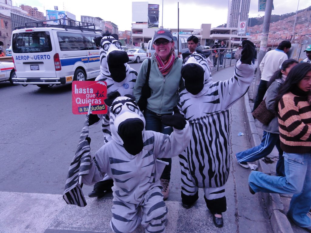 From Guaguas to Colectivos Zebra sightings in....La Paz, Bolivia?