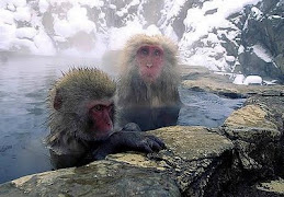 日本雪猴溫泉浴-16
