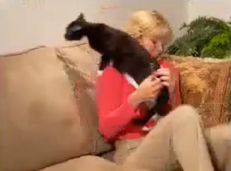 Emery+cat