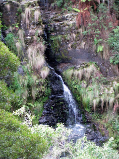 Sabine Falls - Great Otway National Park - Apollo Bay - Victoria