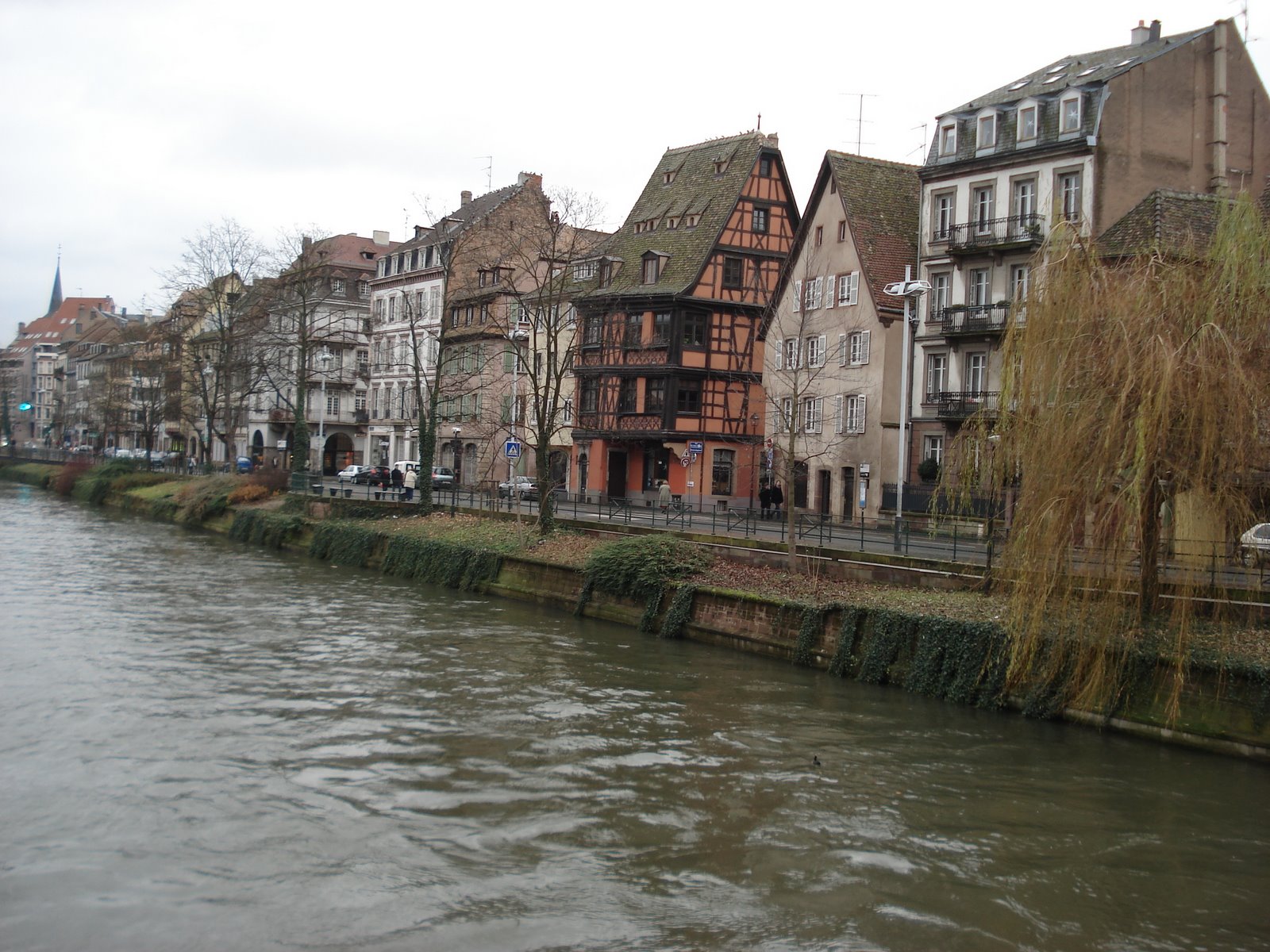 [DSC07610.JPG]