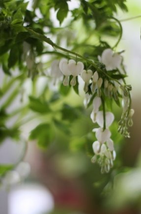 [IMG_2145.JPG]