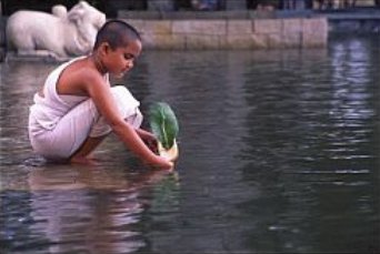 [water_deepa_metha.jpg]