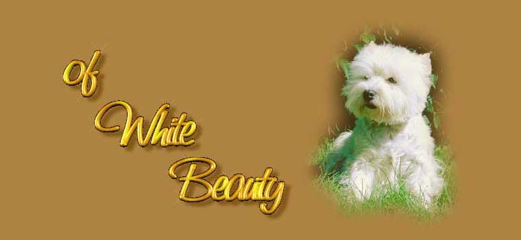 "of White Beauty" Westies
