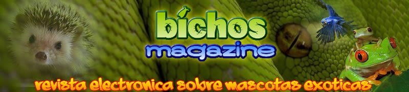 Bichos Magazine