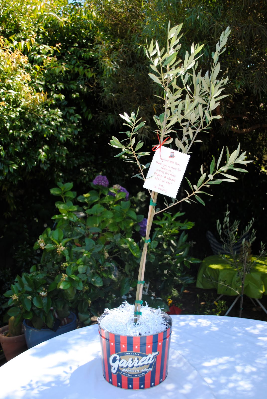 Jac o' lyn Murphy Offering an olive branch...