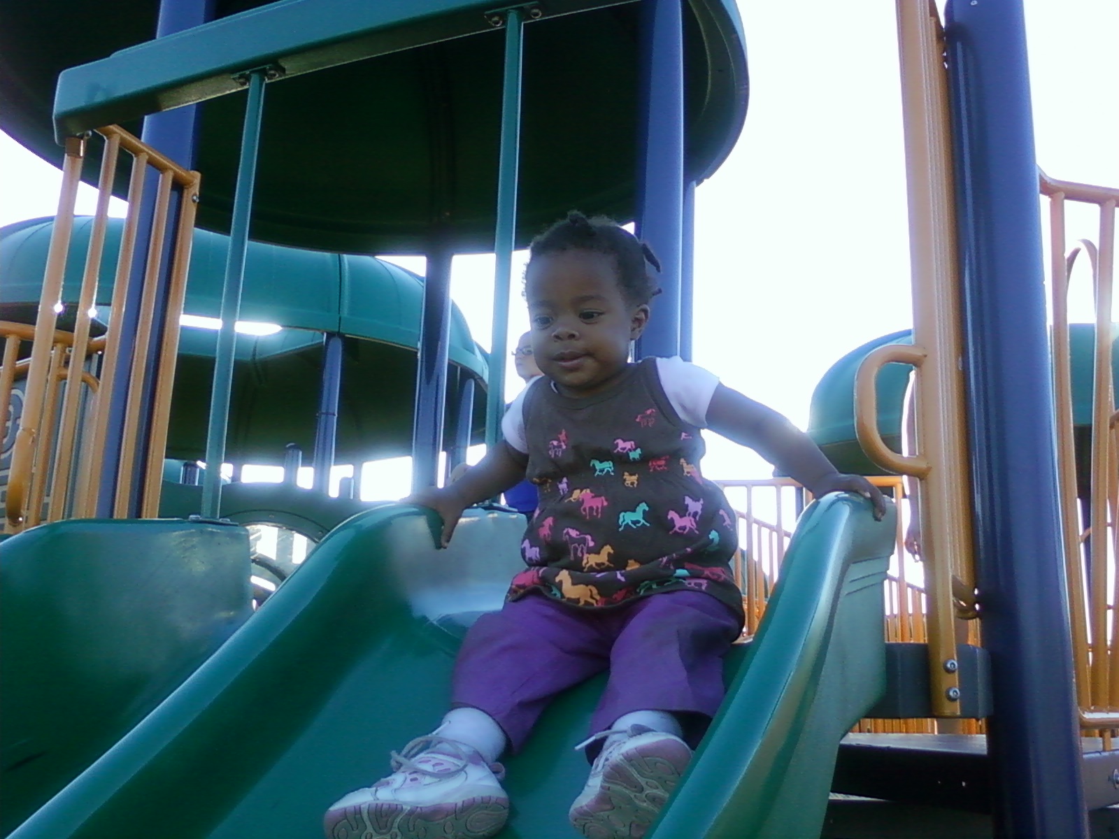 [SSPX0291-764302.jpg]