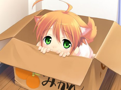 38821__468x_pet-girl-in-box-needs-home-lolicon-welcome.jpg
