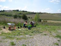 Planting