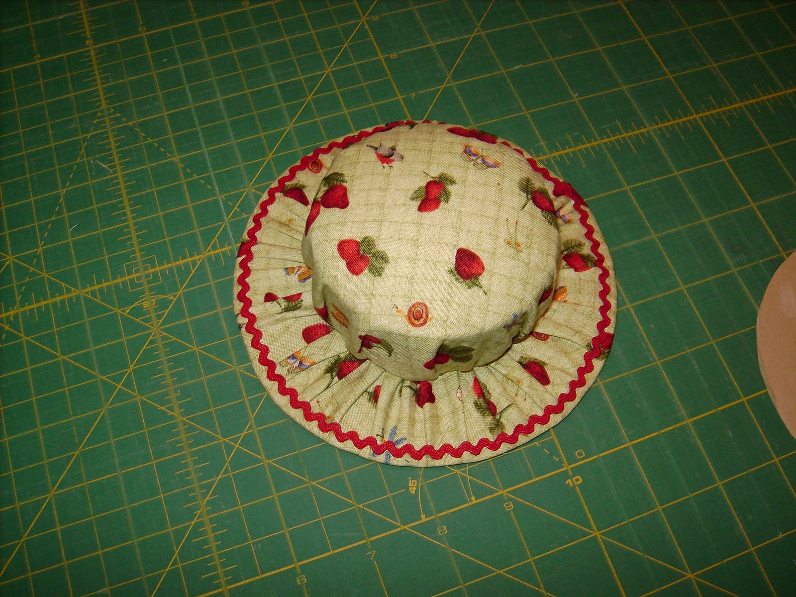 [pincushion+12.JPG]