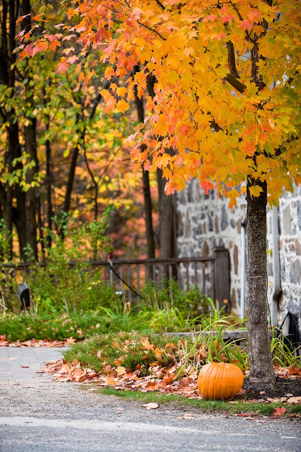 [fall-is-here!.jpg]